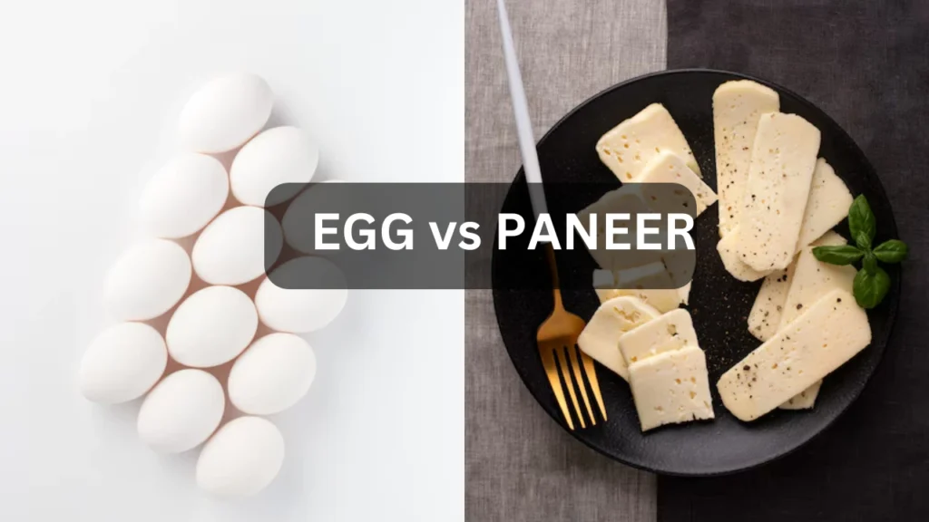 EGG vs PANEER