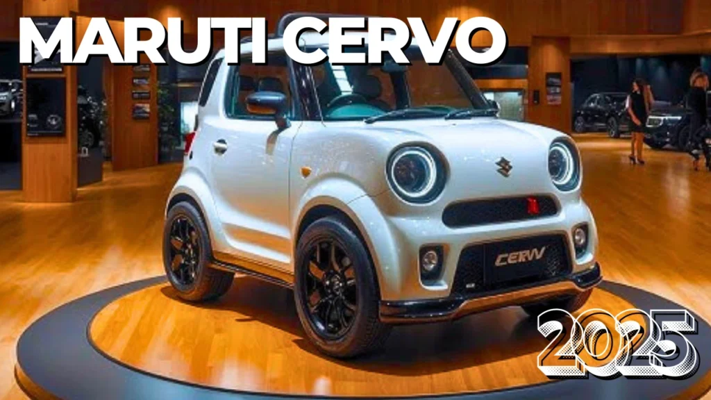 MARUTI CERVO